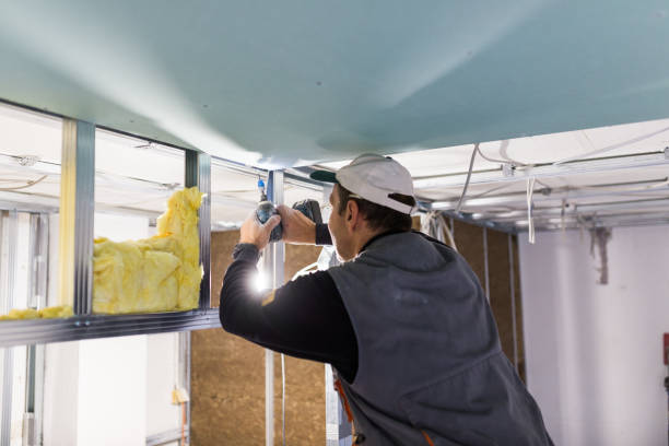 Best Blown-in Insulation  in Garden City, SC